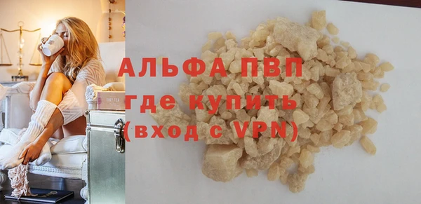 a pvp Бородино