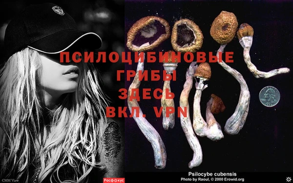 скорость Бронницы