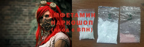 a pvp Бородино