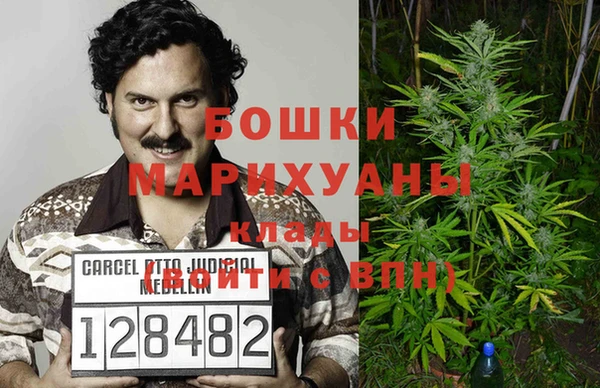a pvp Бородино